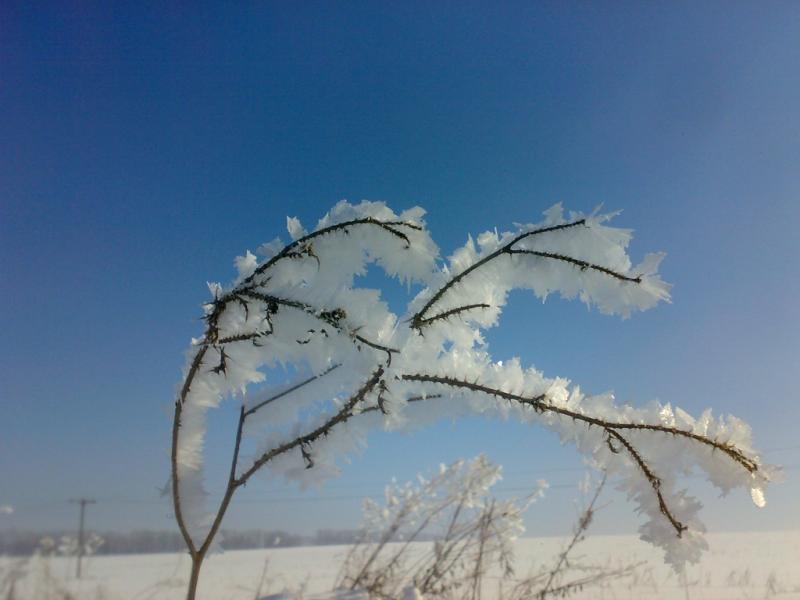 зимние пейзажи