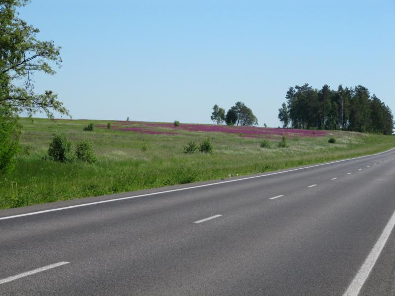 СУмы-Кролевец,Кролевец-Сумы.