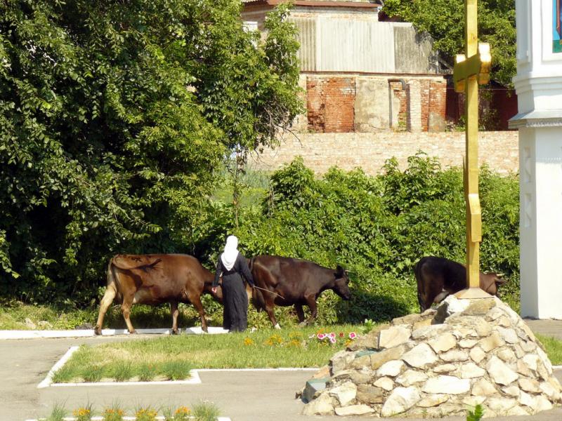 По храмам и рекам севера Украины (Сиверщины)