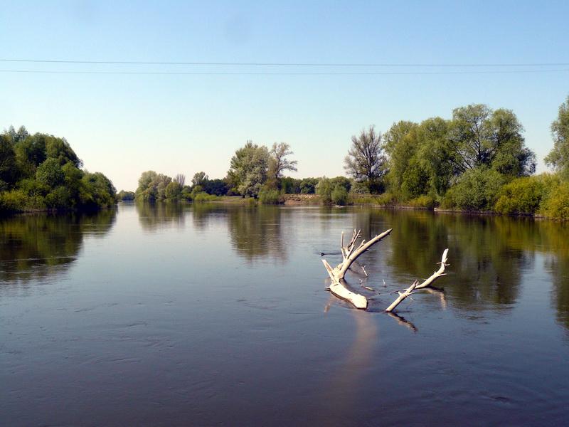 День восьмой