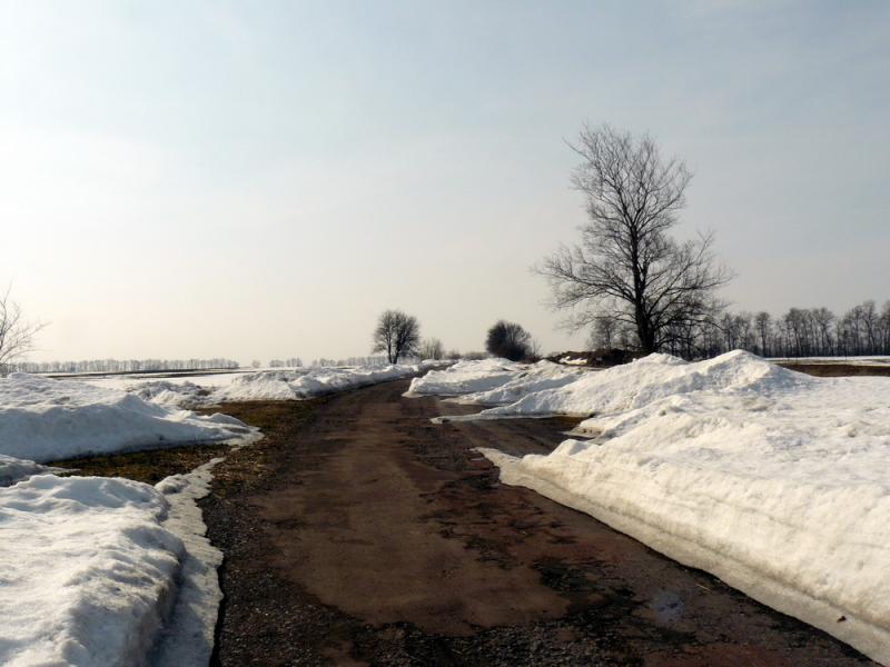 По снегу, грязи, траве и немножко по асфальту