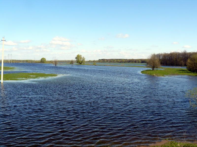 Разлив на Сейму