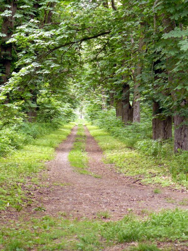 Тростянец, Сокиринцы, Качановка