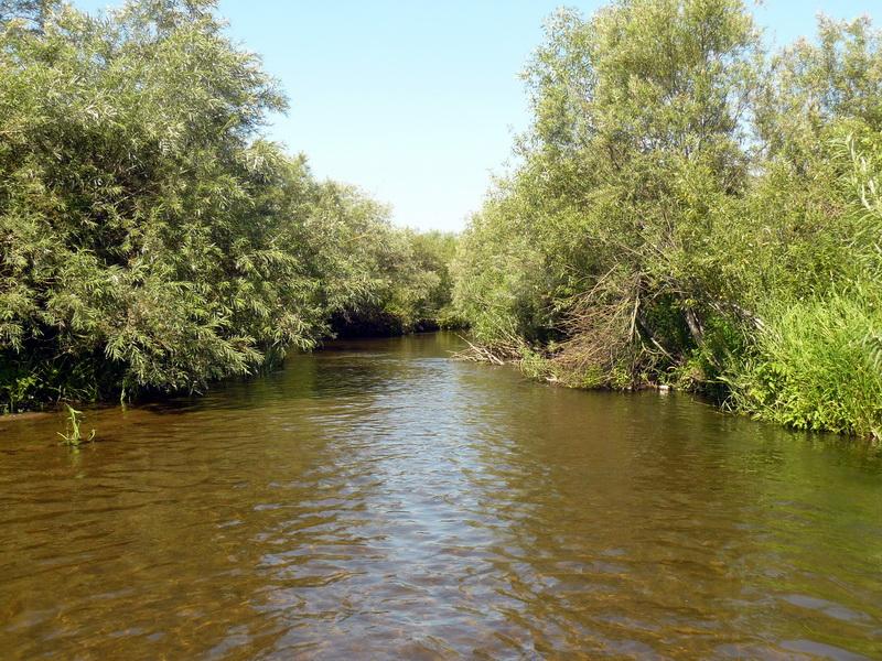 В окрестностях Новгород-Северского