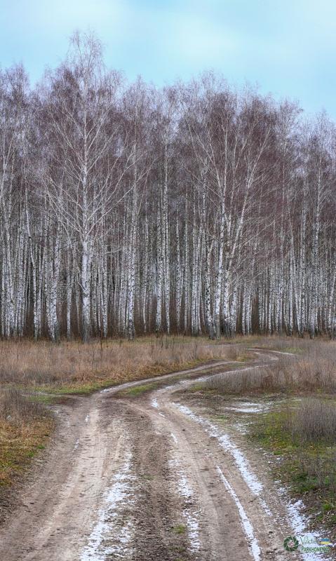 Старе село 2020 січень (14)