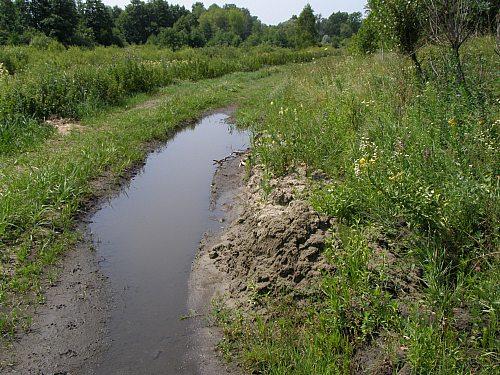 Сумы-Краснополье