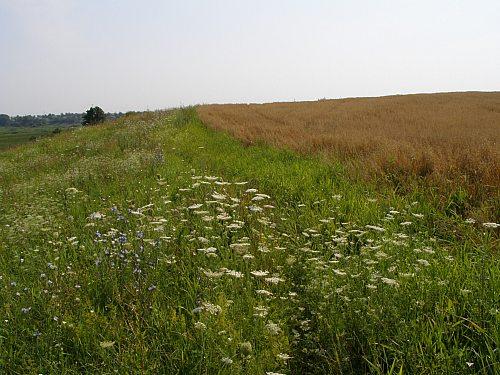 Сумы-Краснополье