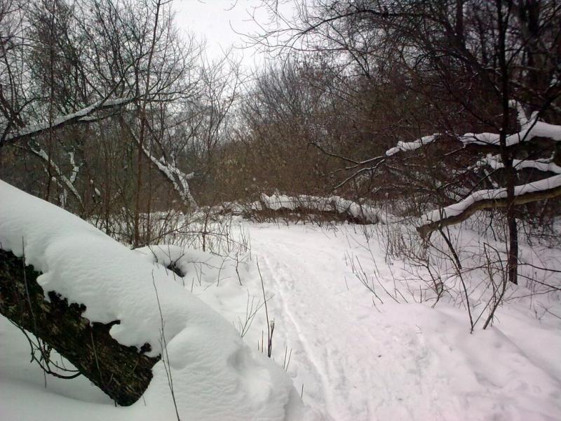 05.02.2011 - По мокрому снежку