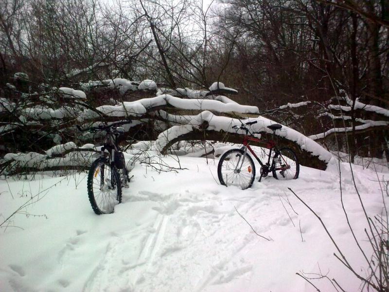 05.02.2011 - По мокрому снежку