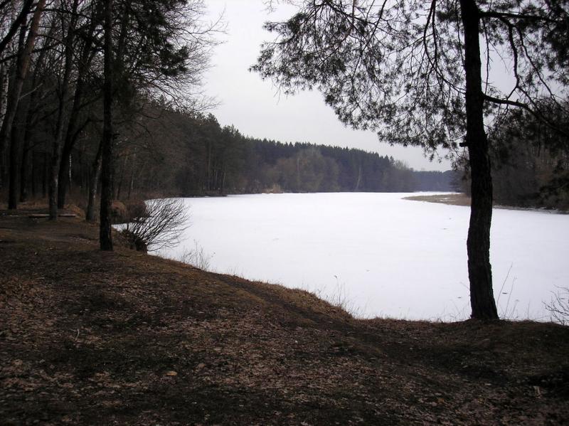 В Патриотовку по асфальту