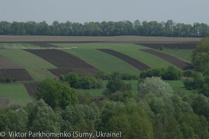 Бревет 200 км 2012 год