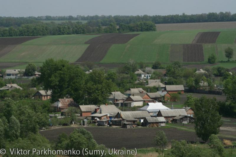 Бревет 200 км 2012 год