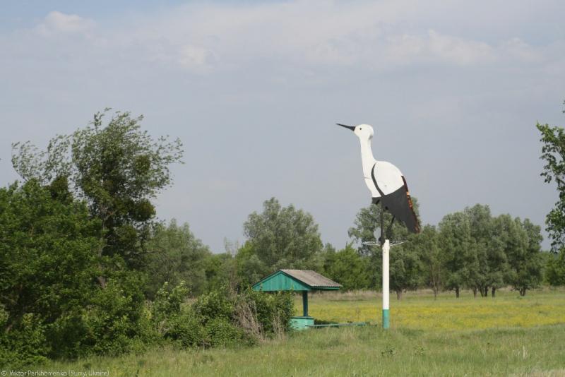 2012 год - Сумы-Лебедин-Шаровка-Ахтырка-Краснополье-Сумы