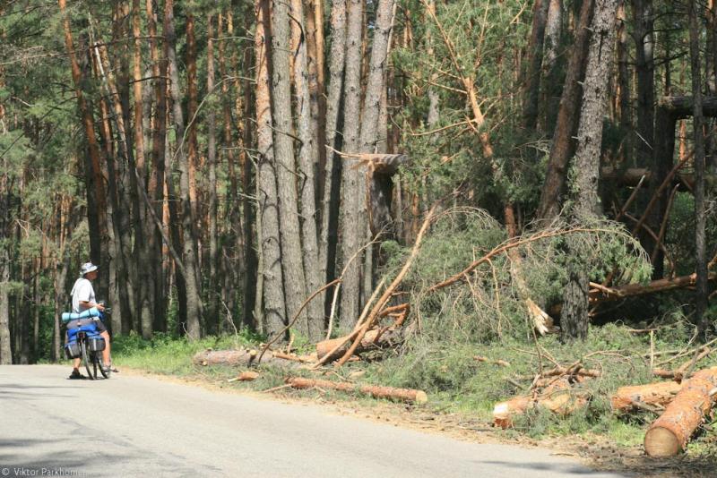 фото к рассказу "Воронежская сага 2012"