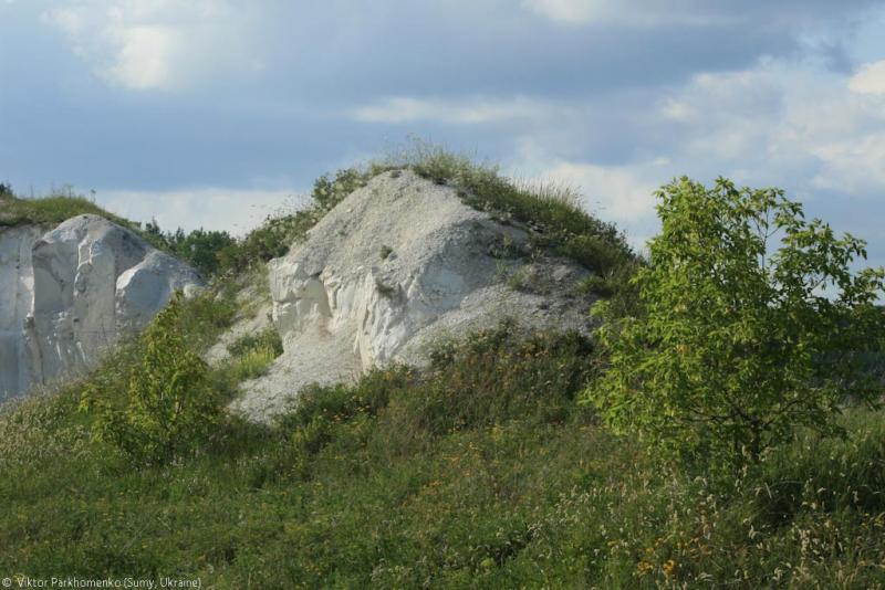 глава 5: фото к рассказу "Воронежская сага 2012"