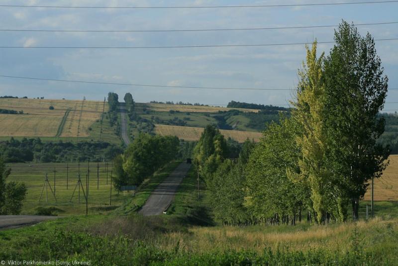 глава 5: фото к рассказу "Воронежская сага 2012"