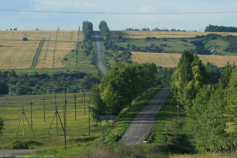 глава 5: фото к рассказу "Воронежская сага 2012"