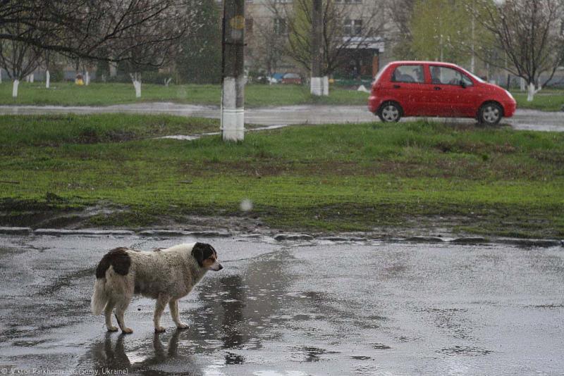 Бросили и позабыли ....jpg