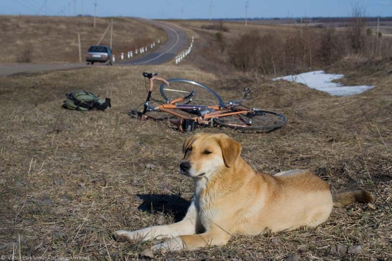 Гроза велосипедистов).jpg