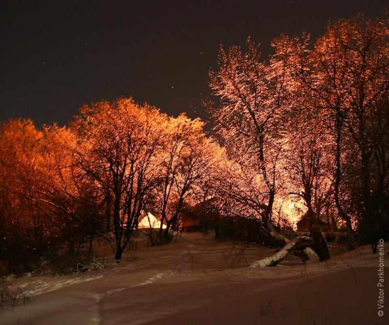 Ледяное царство