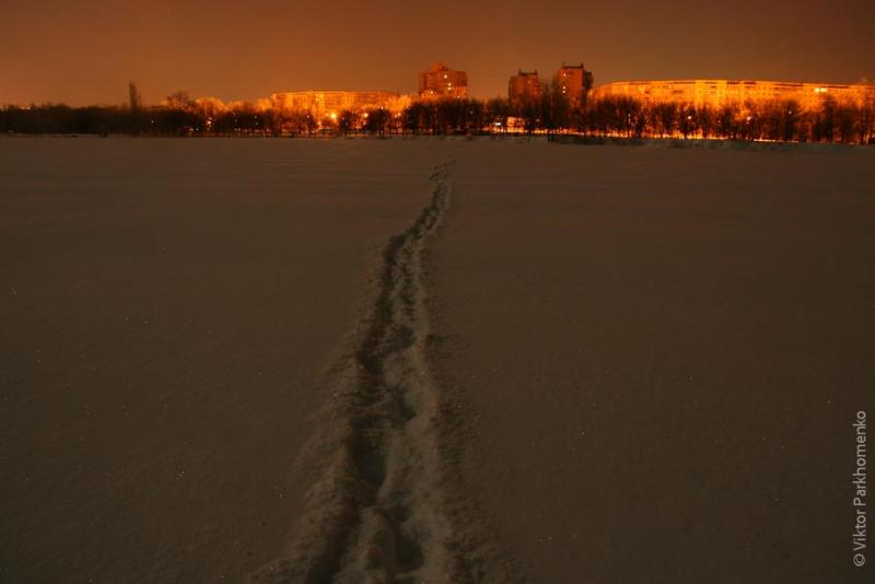 Ледяное царство