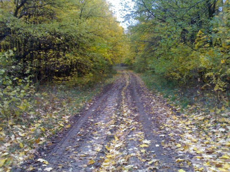 Впереди поворот в горизонтальной плоскости...