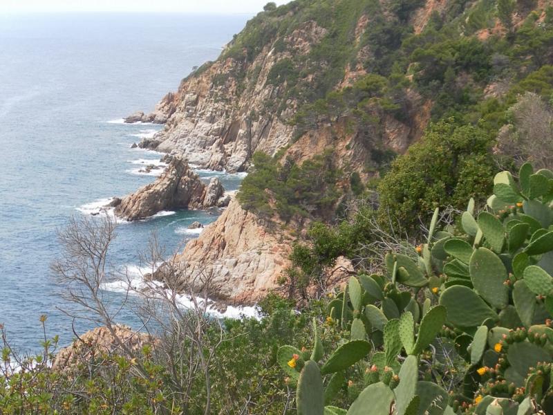 Tossa de mar