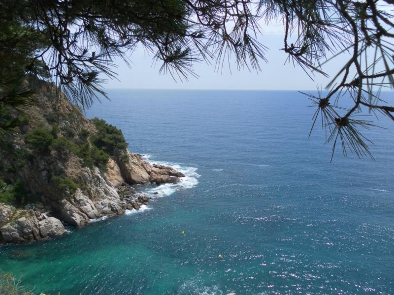 Tossa de mar