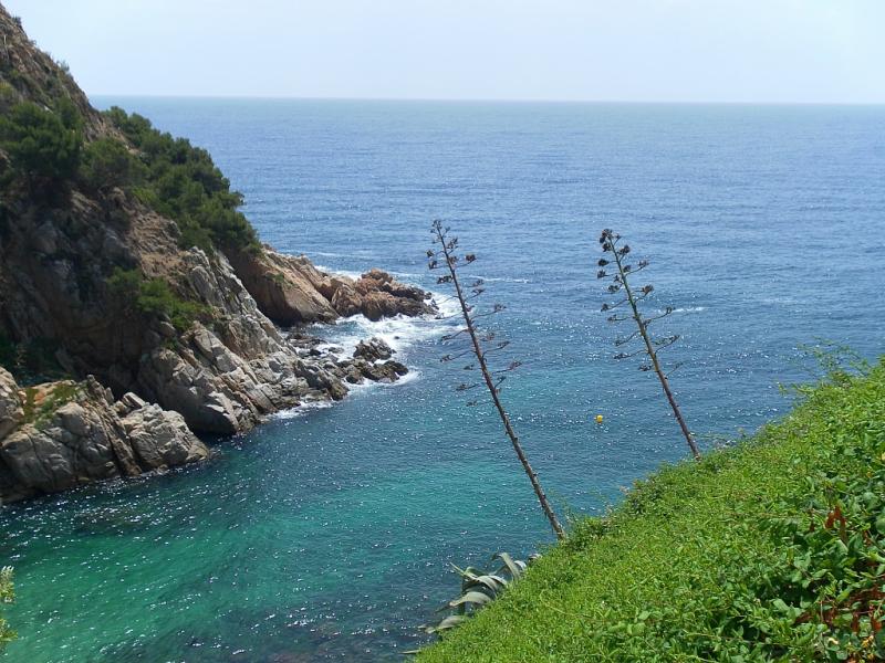 Tossa de mar