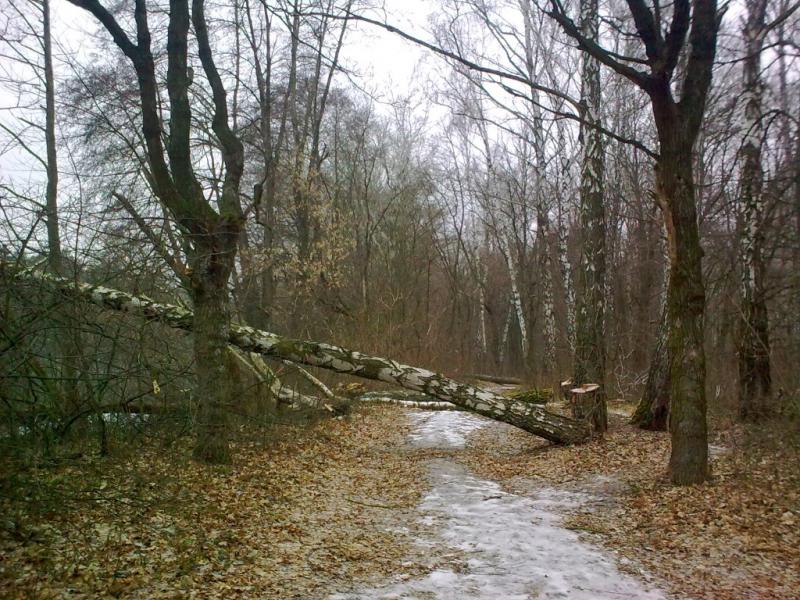 Первая зимняя - 2 января