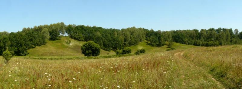 Моя Україна